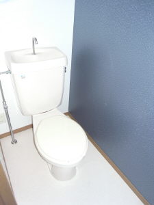 Toilet. We use the wallpaper of antifungal.