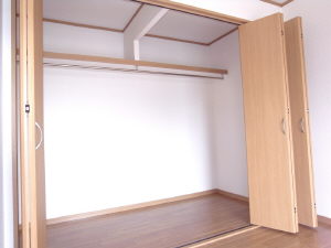 Other. It is a storage space in the Western-style. 