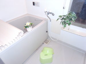 Bath. It is with additional heating function. There is also a shampoo dresser. 