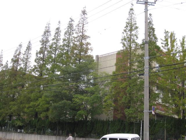 Junior high school. Takahama Municipal Takahama until junior high school 2350m