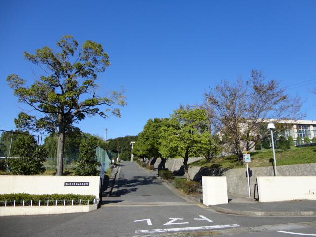 Other. A 15-minute walk of Tokaiminami high school.