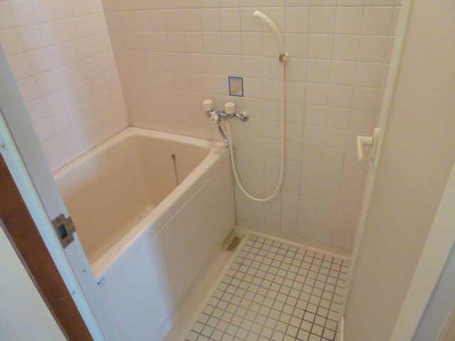 Bath. Clean bathroom