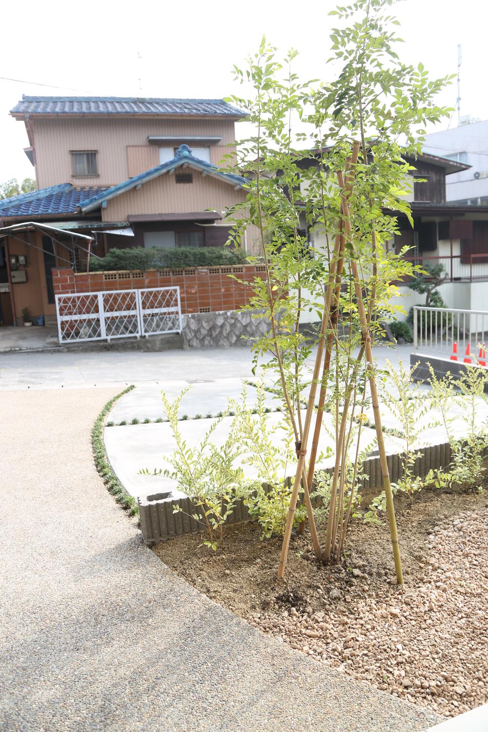 Garden. Local (11 May 2013) Shooting
