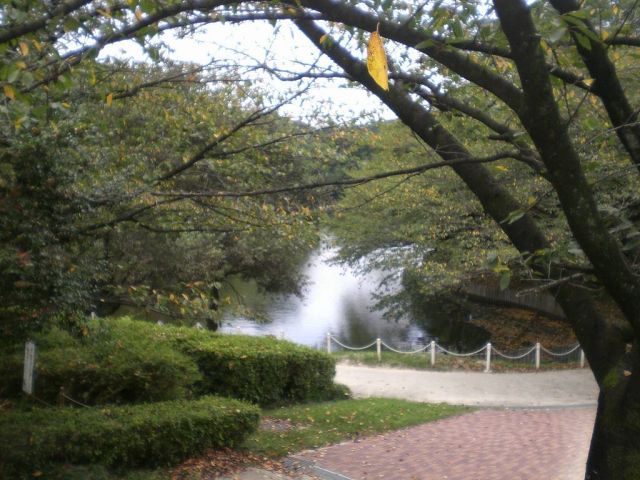 park. 1700m to Tokai green Oike Park (park)