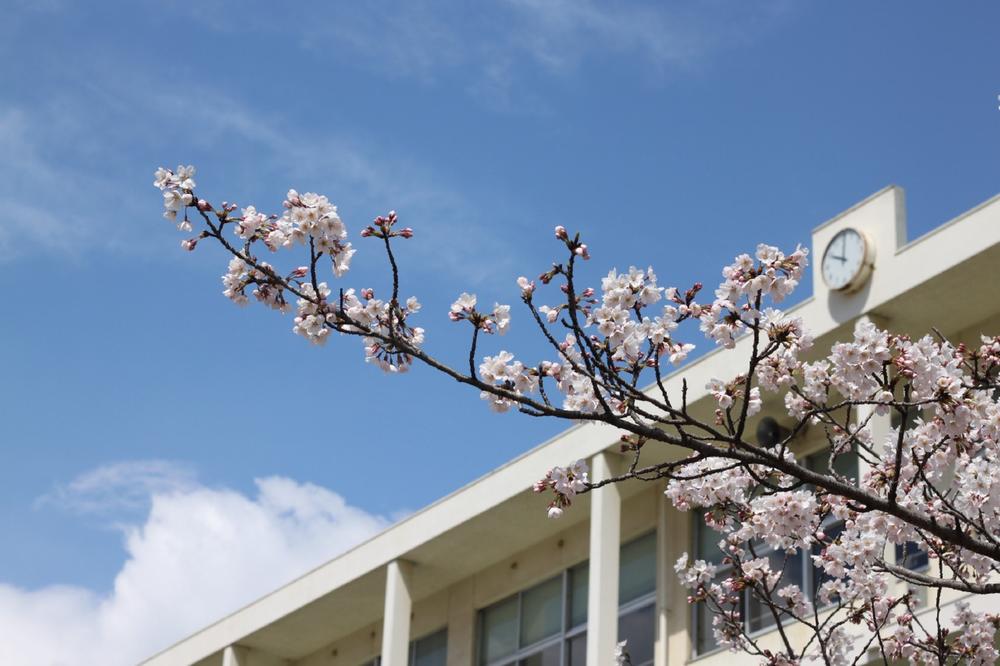 Junior high school. Tokai Municipal Kagiya junior high school