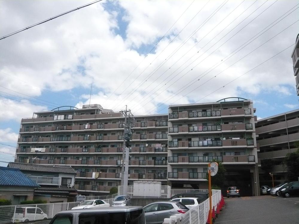 Local appearance photo. Local (10 May 2012) shooting