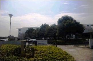 Primary school. Tokai Municipal Funeshima 700m up to elementary school