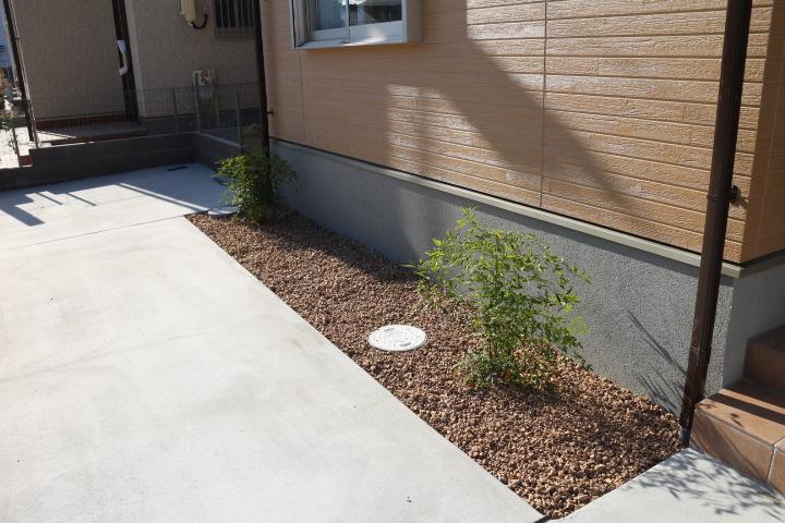 Garden. Cute planting