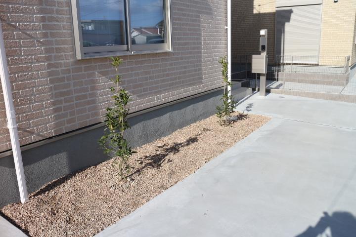 Garden. Cute planting