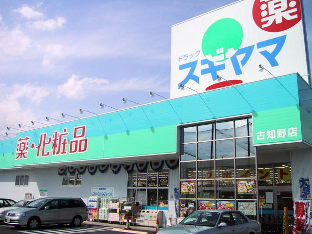 Dorakkusutoa. Drag Sugiyama Toyoaki shop 947m until (drugstore)