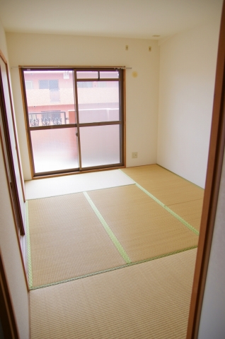 Other room space. Japanese style room