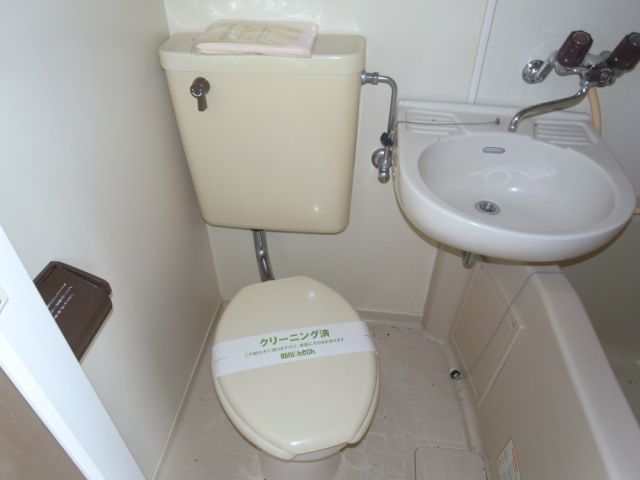 Toilet