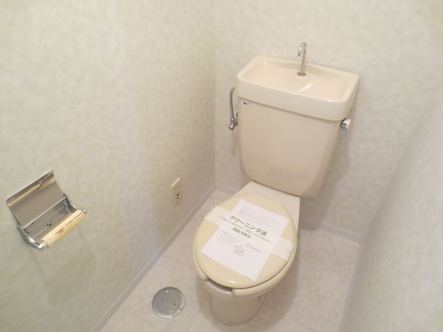 Toilet