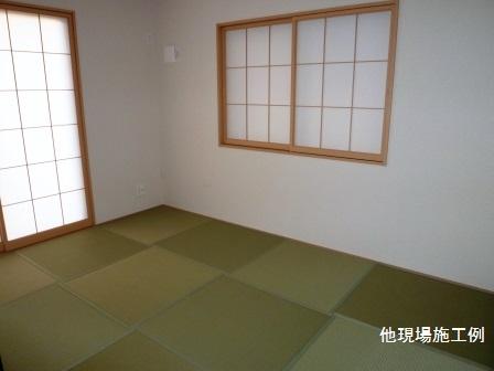 Same specifications photos (Other introspection)