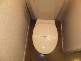 Toilet. It becomes the image of the same type Property