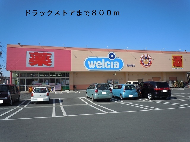 Dorakkusutoa. Wynn Dah land Higashimorioka shop 800m until (drugstore)