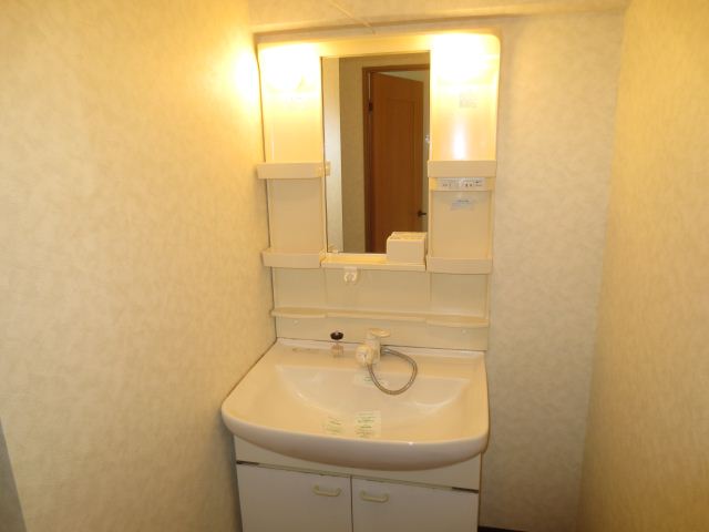 Washroom. Shampoo dresser with vanity