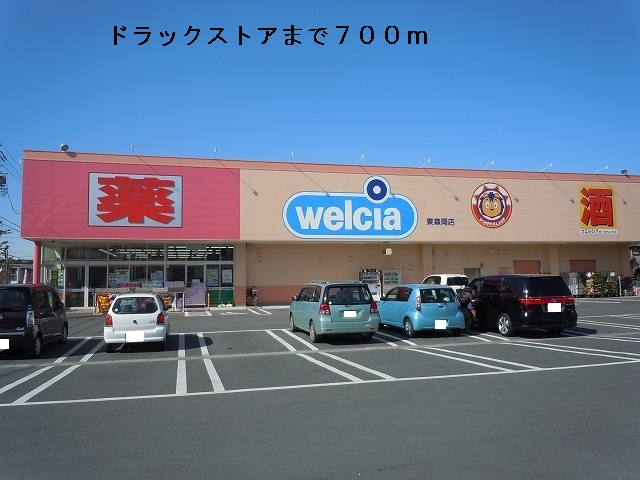 Dorakkusutoa. Wynn Dah land Higashimorioka shop 700m until (drugstore)