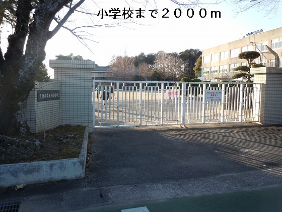 Primary school. Tamagawa until the elementary school (elementary school) 2000m