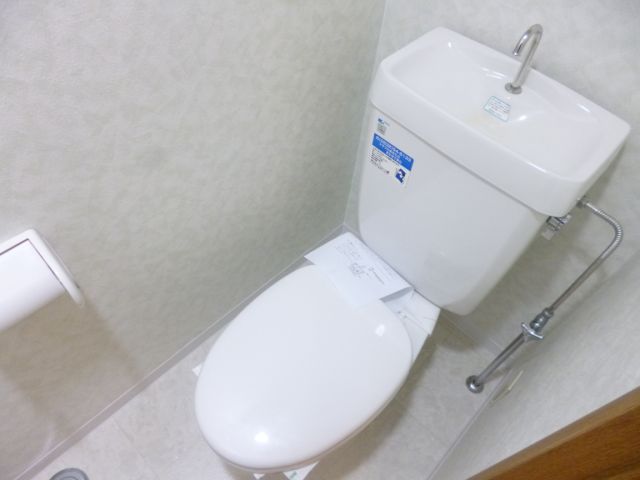 Toilet. There is a storage rack in the upper right corner. Tableware also fits if the Single's.