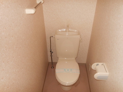 Toilet. Toilet