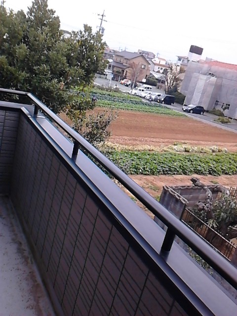 Balcony. View balconies of good.