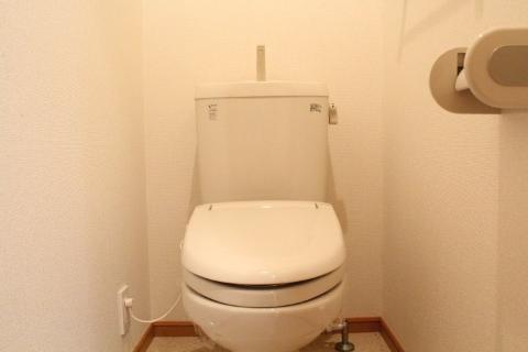 Toilet. WC