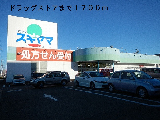 Dorakkusutoa. Drag Sugiyama Hanada shop 1700m until (drugstore)