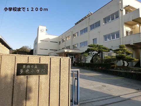 Primary school. Tame to elementary school (elementary school) 1200m