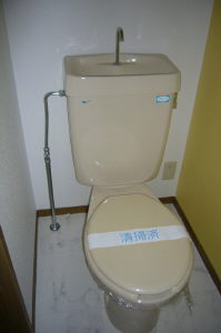 Toilet