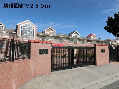 kindergarten ・ Nursery. Toyohashi talent education kindergarten (kindergarten ・ 250m to the nursery)