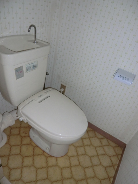 Toilet. Remodeling scheduled for bidet