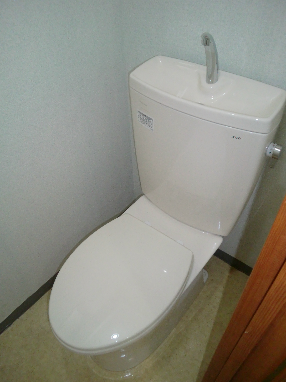 Toilet. Toilet replacement already (not used)