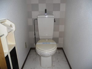 Toilet