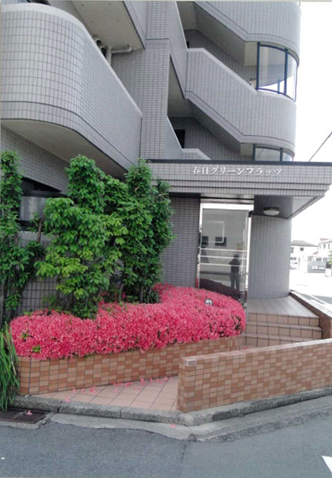 Building appearance. A clean, Entrance wrapped in green