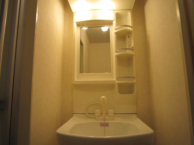 Washroom. Vanity shower