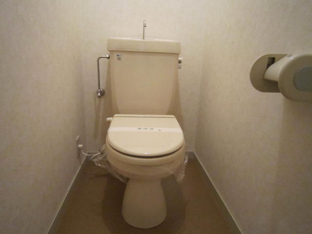 Toilet. Simple and clean is clean! Heating toilet seat