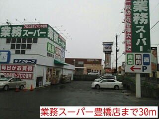 Other. 30m to business super Toyohashi shop (Other)