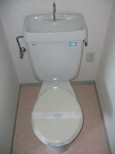 Toilet