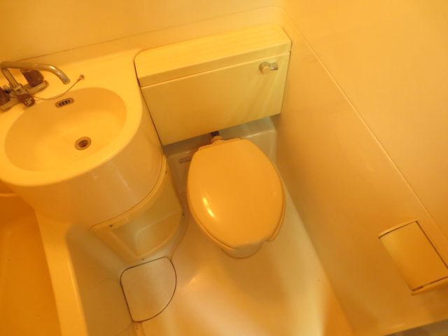 Toilet