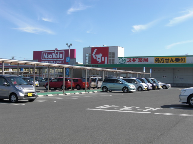 Dorakkusutoa. Cedar pharmacy Toyohashi Minamiten 3360m until (drugstore)