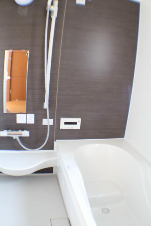 Bathroom. With bathroom dryer, Hitotsubo bath