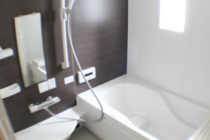 Bathroom. With bathroom dryer, Hitotsubo bath