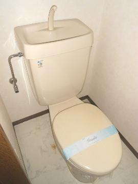 Toilet. WC