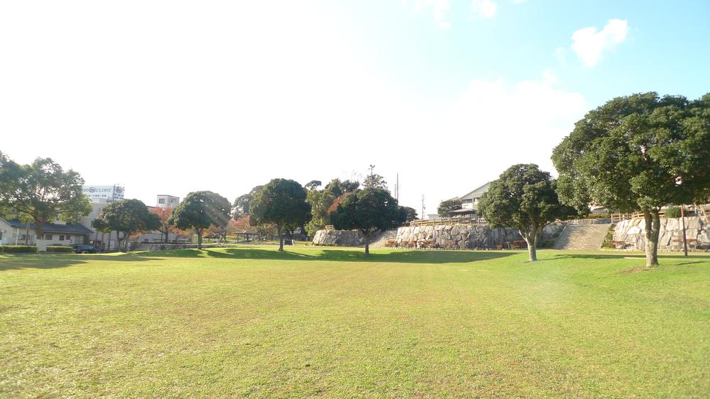 Other. Before the far-through park of the eye