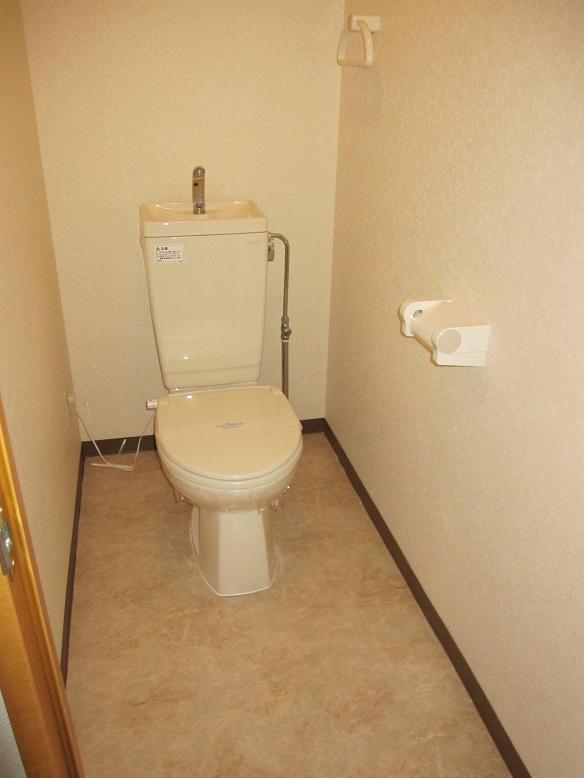 Toilet. It is spread in the restroom