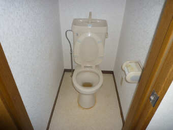 Toilet