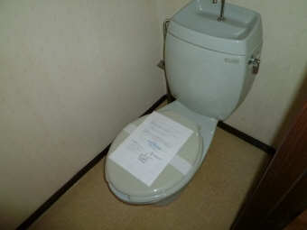 Toilet