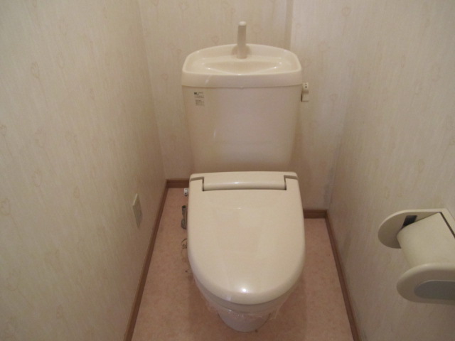 Toilet. Winter is with a warm heating toilet seat! 