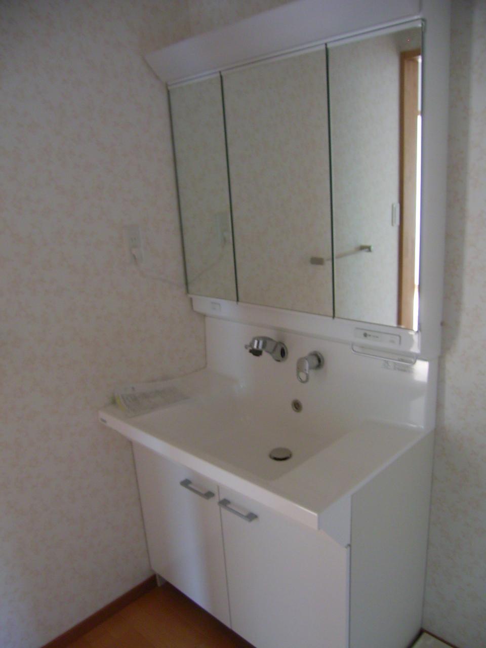 Washroom. Shower with vanity